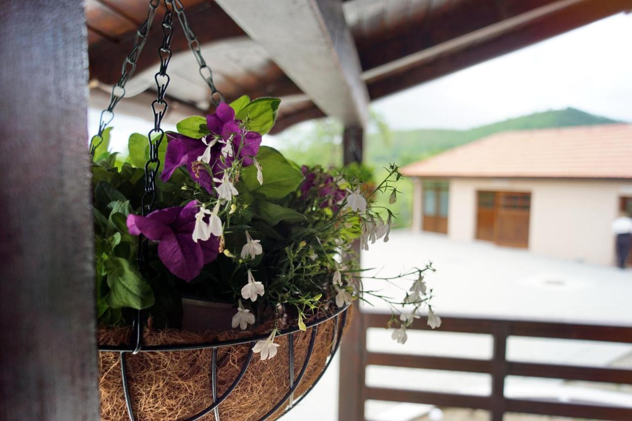 Cabana La Pestera Pestera  Zewnętrze zdjęcie